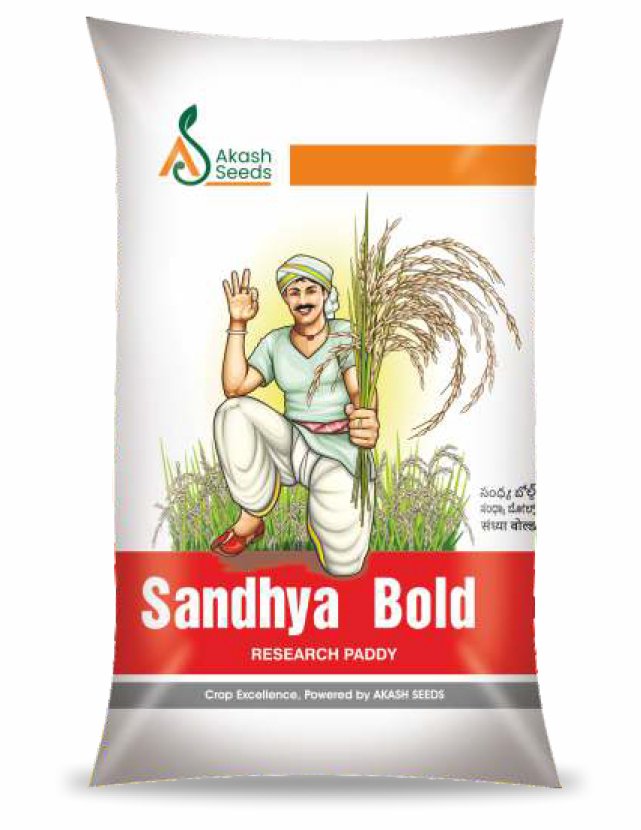 Sandhya-Bold