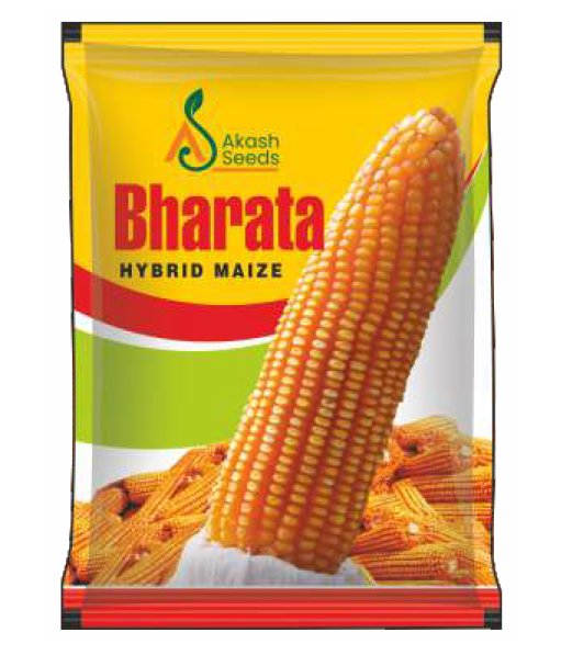 Bharata-Maize
