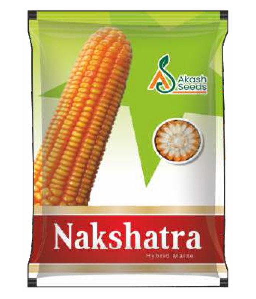 Nakshatra-Maize
