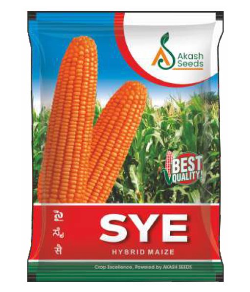 SYE-Maize