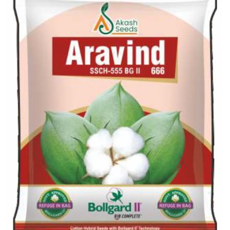 Aravind-hybridcotton