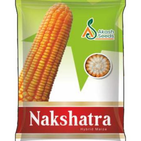 Nakshatra-Maize