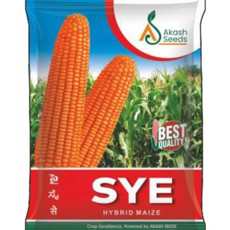 SYE-Maize