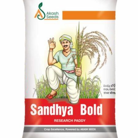 Sandhya-Bold