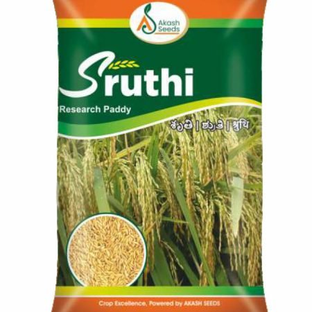 Sruthi-Paddy-Seeds