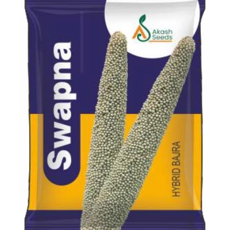 Swapna-Maize
