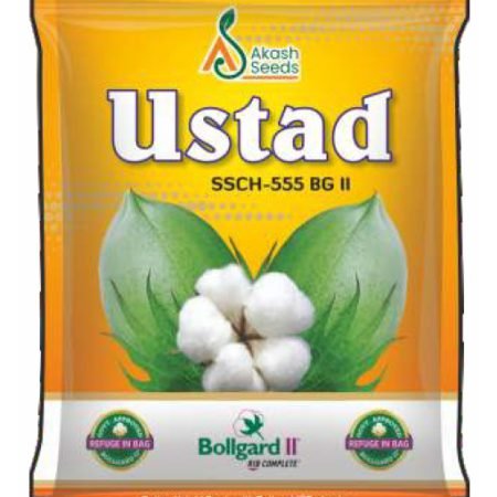 Ustad-hybridcotton